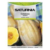 Saturnia - Graines de Courge Violina
