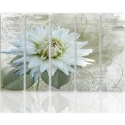 Tableau fleur blanche - 250 x 120 cm - Vert