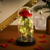 Fei Yu - Naturelle Rose Eternelle sous Cloche, La Belle et La Bete avec des lumières led Fleurs éternelles Cadeau pour Femmes et Filles (Rose en