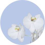 Papier peint panoramique rond adhésif fleurs - ø 140 cm de Sanders&sanders bleu clair et blanc