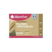 Blanreve - Traversin Plumes 160 cm