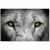Affiche Yeux de loup - 60x40cm - made in France