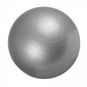 Gorilla Sports - Swiss ball - Ballon de gym - Tailles : 55 cm, 65 cm, 75 cm - Couleur : gris - Diamètre : 55 cm - gris