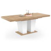 Table à manger extensible rectangle eliad 6-10 personnes bois et blanc 160-200 cm - Multicolore