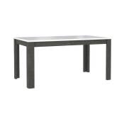 Table extensible 160 à 206 cm blanc laqué et décor