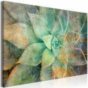 Artgeist - Tableau Blooming Tones Wide - 60 x 40 cm
