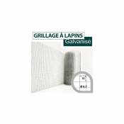 Cloture&jardin - Grillage Soudé Galvanisé - Maille Carrée 13mm - Longueur 10m - 0,50 mètre - Galvanisé