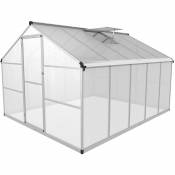 Serre de jardin Mini serre de jardin Aluminium + polycarbonate 310x250x195 cm - Transparent