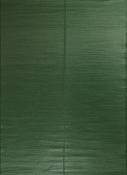 Tapis extérieur réversible motif uni - Vert - 120x160 cm