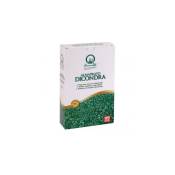 Herbatech - Almaprato Dicondra - Graines de pelouse couvre-sol de 250 Gr
