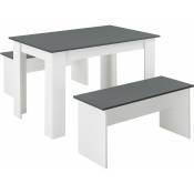 Lot de table et 2 bancs salle à manger pour 4 personnes 110 cm blanc gris - Blanc