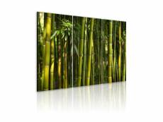 Tableau - bambou et vert 60x40 cm