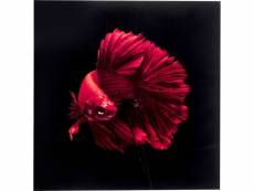 "tableau en verre poisson rouge 100x100cm"