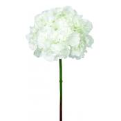 Tige d'hortensia artificielle blanche H50