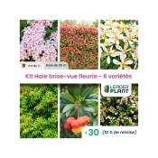 Kit Haie Brise Vue Fleurie - 6 variété - 30 plante