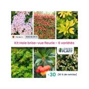 Leaderplantcom - Kit Haie Brise Vue Fleurie - 6 variété - 30 plante en pot de 1litre