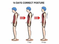 Alpexe correcteur de posture dos épaules, lavable et ajustable posture pour soulager les douleurs dorsales taille l (buste : 96-