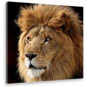 Hxadeco - Tableau animaux crinière du roi lion - 50x50
