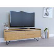 Meuble tv avec 1 tiroir 1 porte darina en bois - bois clair