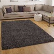Paco Home - Tapis Shaggy Longues Mèches En Anthracite