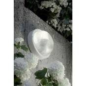 Sovil - Tortue ronde thermoplastique couleur blanche