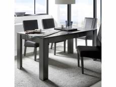 Table 180 cm grise laqué design sandrea 2