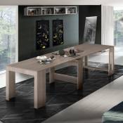 Table à manger extensible en bois d'orme 90x51-300cm