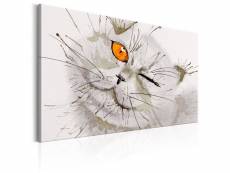 Tableau sur toile décoration murale image imprimée cadre en bois à suspendre chat gris 90x60 cm 11_0002916