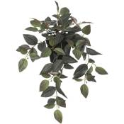 Atmosphera - Plante artificielle Tradescantia bicolore h 45 cm Noir