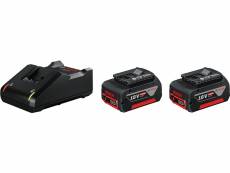 Bosch - kit de 2 batteries gba 18v 4.0ah li-ion et chargeur gal 18v-40 professional BOS3165140967969