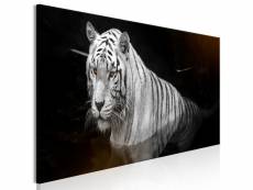 Tableau shining tiger 1 pièce orange narrow taille 150 x 50 cm PD8509-150-50