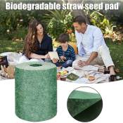 20x300Cm Tapis De Graine d Herbe Biodegradable Pelouse