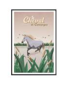 Affiche Animaux - Le Cheval de Camargue 40 x 60 cm