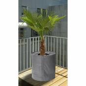 Protecteur de pot thermique pour les plantes - taille d'environ 50 x 70 cm