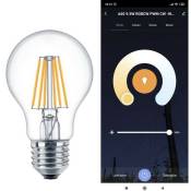 Sysled - Ampoule led 7W smart Wifi - cct Filament -