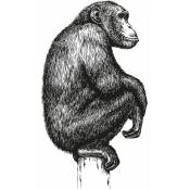 Le Monde Des Animaux - Sticker Mural chimpanze