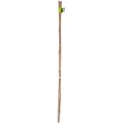 Nortene - Tuteur bambou 120cm ép.10/12mm lot de 3