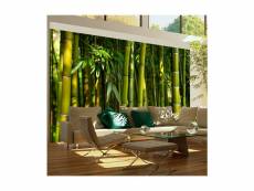Papier peint - forêt de bambous asiatique-450x270