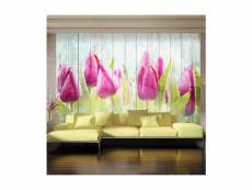 Papier peint tulips on white wood l 150 x h 105 cm A1-MNEW010517
