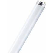Osram - Tube fluorescent cee: a (a++ - e) Lumilux 4050300325637 G13 n/a Puissance: 16 w blanc chaud n/a