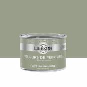 Peinture murs plafonds et boiseries Velours de peinture vert luxembourg Liberon 125 ml