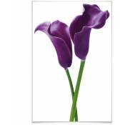 Poster xxl Lilies violets Fleurs Grande poster mural