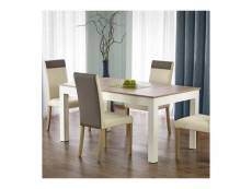 Table salle a manger 160-300-90-76cm bois et blanc