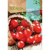Tomate Red Cherry 1g - Rocalba