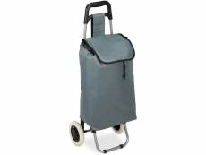 Chariot de courses pliable sac amovible 28 litres caddie pour achats roulettes gris helloshop26 13_0000707