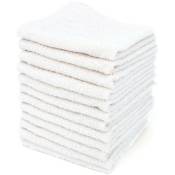 Lot de serviettes invité alpha 12 pièces 30x30 cm - Blanc