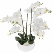 Orchidée Artificielle 65cm avec Pot en Céramique - Couleur Uni - - Blanc|Noir