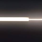 Ruban led Haute Luminosité 18W/m 280 LED/m IP20 5m