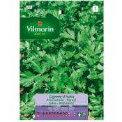 Vilmorin - Giant Weeks Italie Arom Tico S-1 530, 14