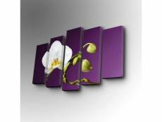 Pentaptyque atos motif orchidée blanc et violet